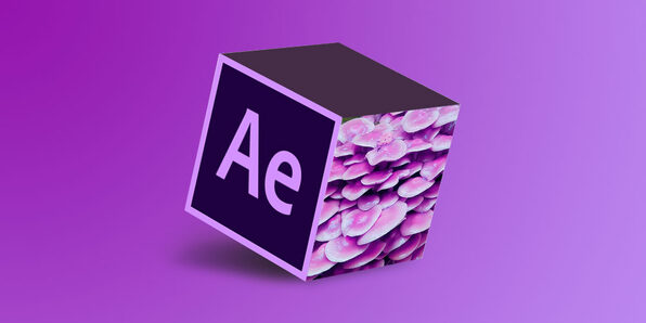 Become a Motion Graphics Designer Using After Effects - Product Image
