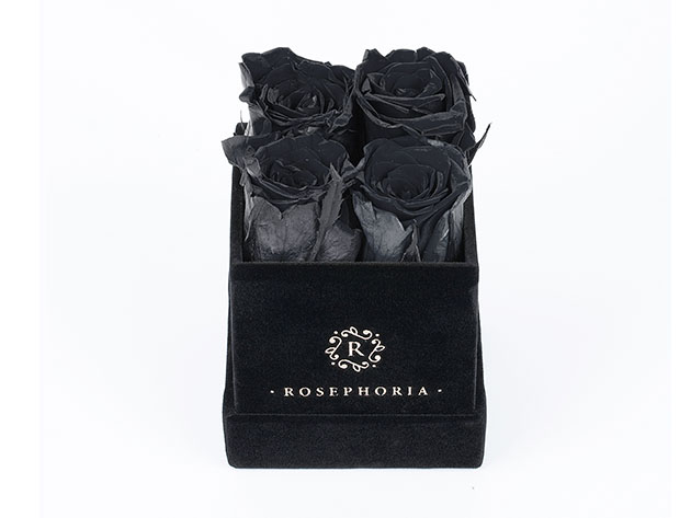 Le Petite Everlasting Roses: Box of 4 (Black)