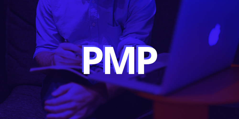 Project Management Professional (PMP)