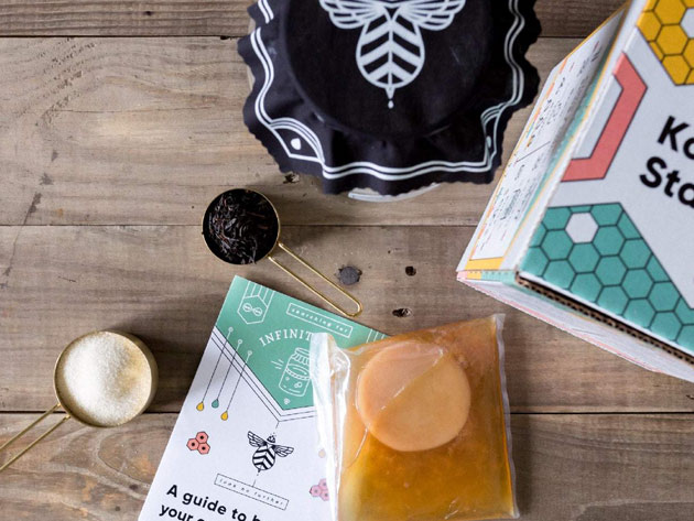 Brew Your Own Kombucha Kit