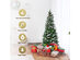 5 Foot Snow Flocked Unlit Pencil Christmas Tree with Pine Cones