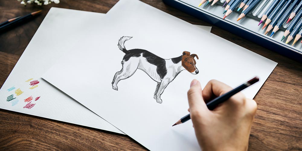 Draw a Jack Russell Using Pastel Pencils