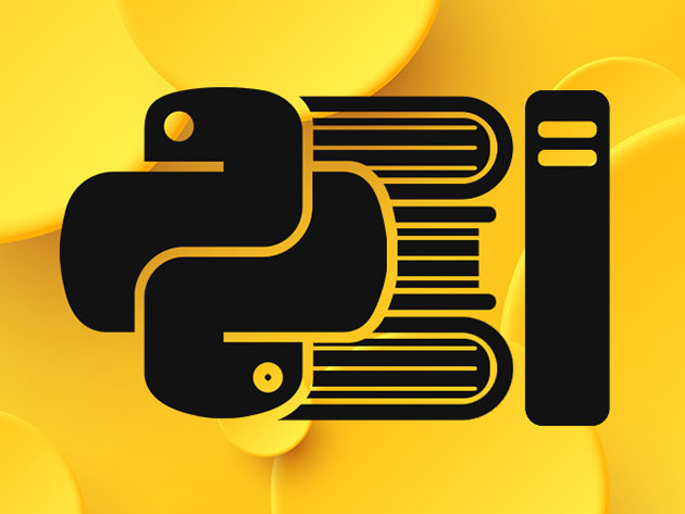 Learn Python for software engineering for just $20