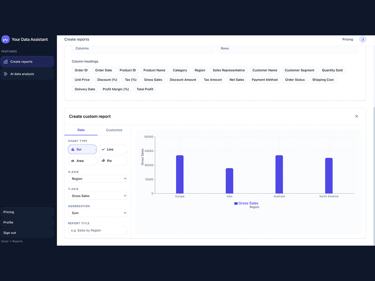 Your Data Assistant Lifetime Subscription (Pro Plan)