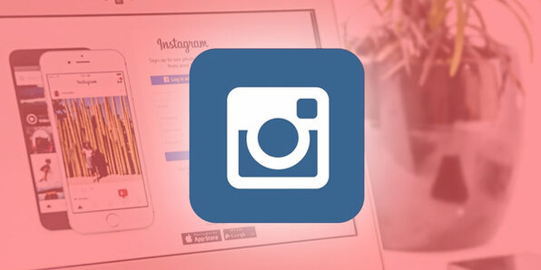 Instagram Marketing Crash Course for Entrepreneurs - Product Image