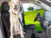 Meadowlark® Front Seat Protector