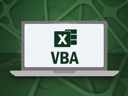 Master Microsoft Excel Macros and Excel VBA
