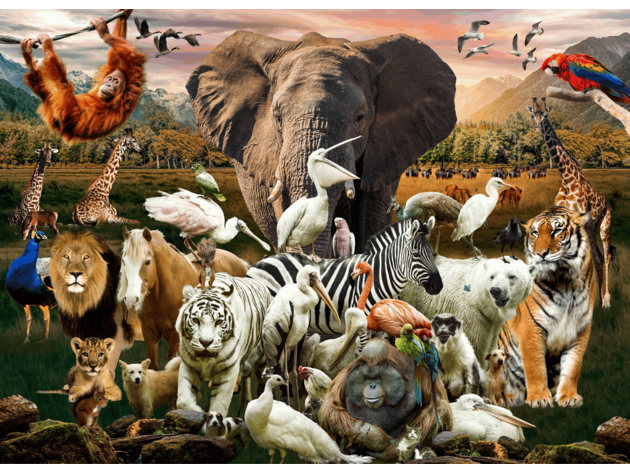 Animal Jigsaw Puzzles 500 Piece