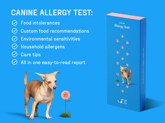 DNA My Dog Canine (Allergy Test Only)