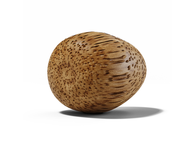 Bamboo | Concentration