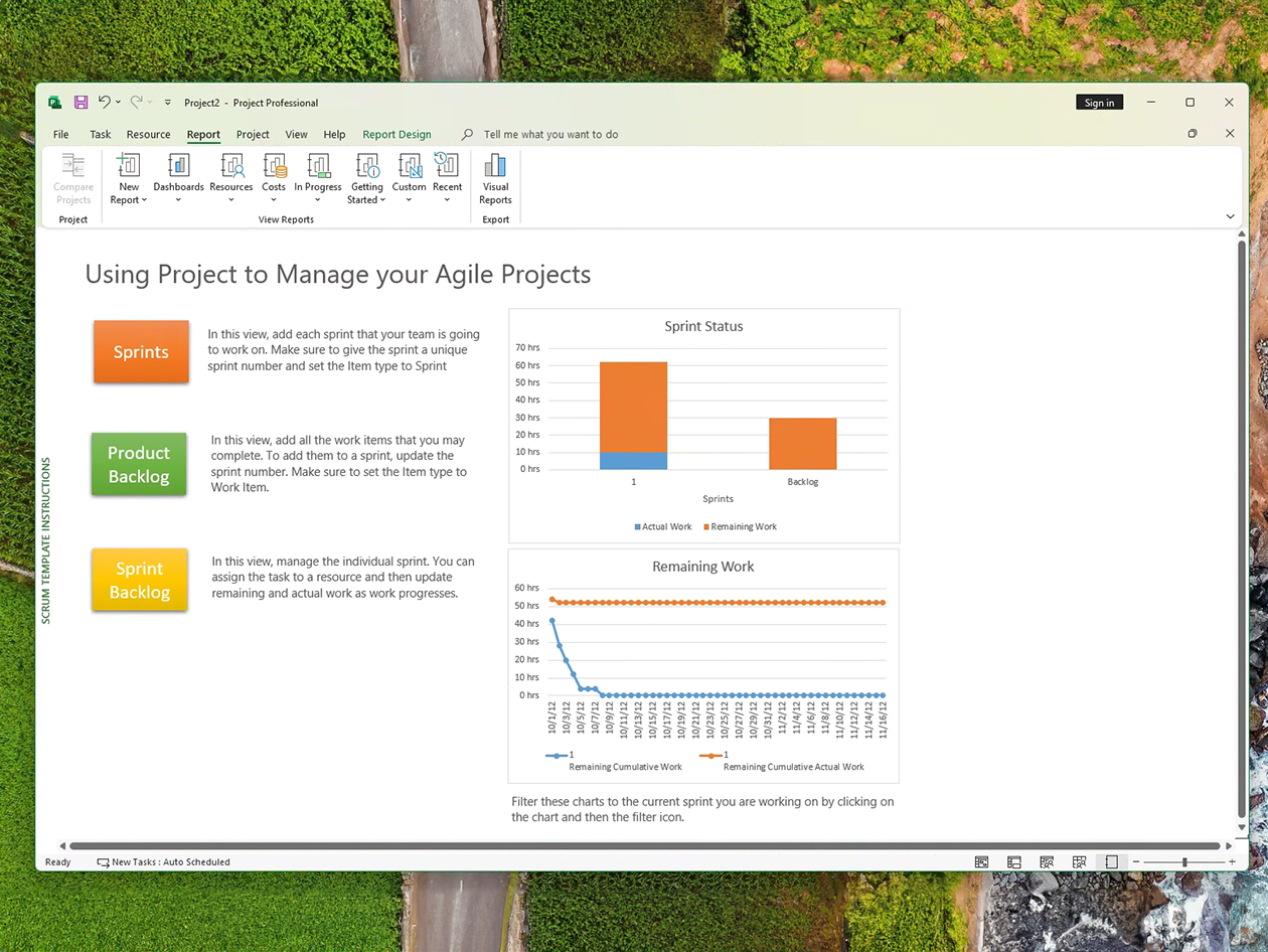 Microsoft Project Professional 2024: Lifetime License for Windows