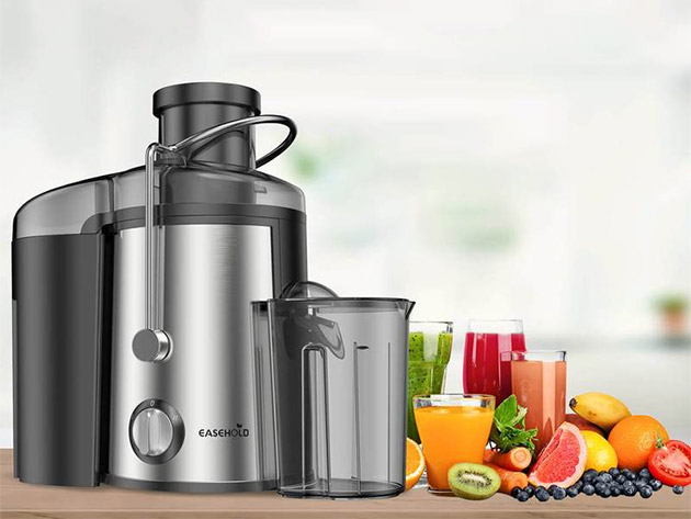 Easehold Dual Speed 600W Juicer