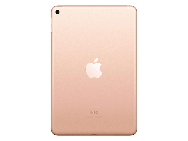 Apple iPad mini 5 (2019) 9.7 256GB - Gold (Refurbished: Wi-Fi + Cellular  Unlocked) | StackSocial