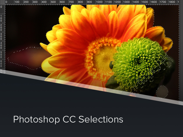 Photoshop CC Selections Course