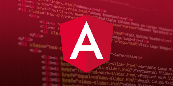 Angular 7: Practical Guide - Product Image