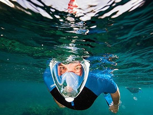 Full Face Snorkel and Diving Mask (Blue - L/XL)