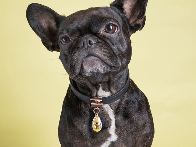 brklz™ Timeless Dog Collar Clip with Swarovski Crystal (Small)