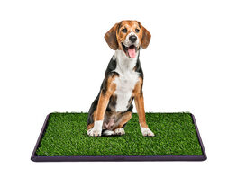 Costway 30''x20'' Puppy Pet Potty Training Pee Indoor Toilet Dog Grass Pad Mat Turf Patch - Green