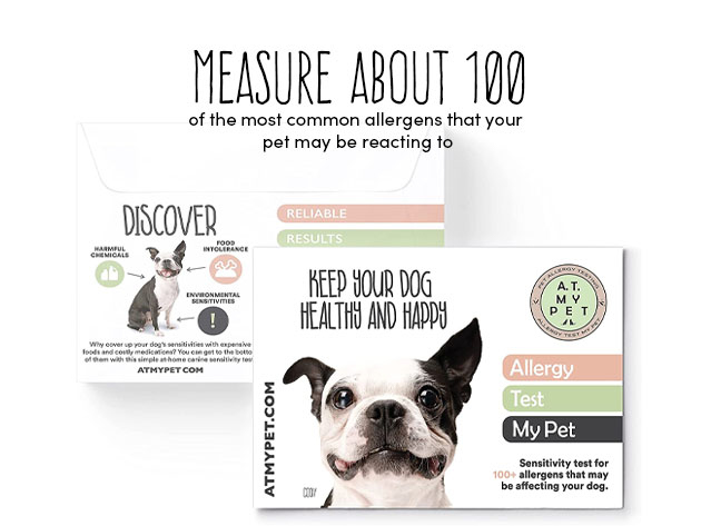 DNA My Dog Breed Identification Test & Allergy Test My Pet Kit Bundle