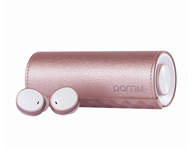 PaMu Scroll True Wireless Earbuds & Case (Sakura)