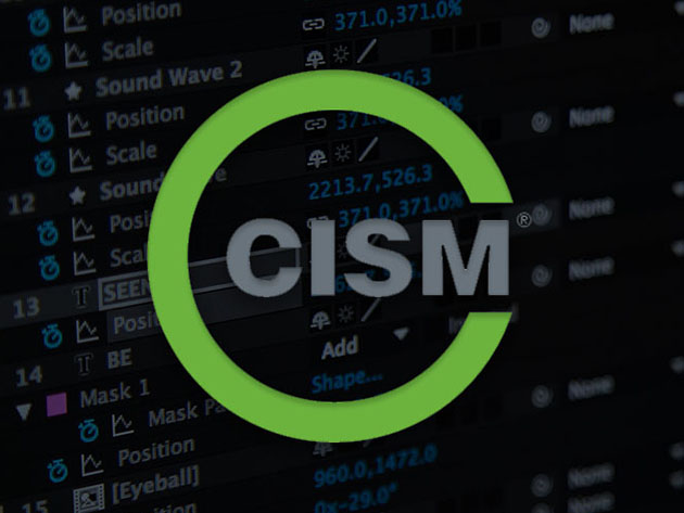 CISM: Certified Information Security Manager