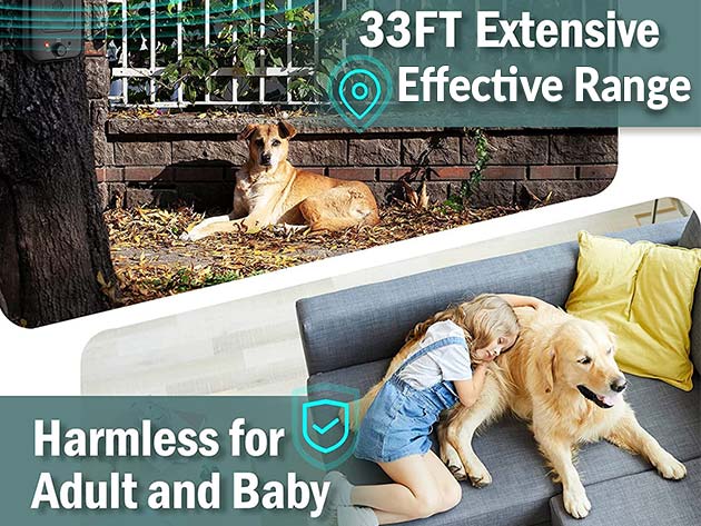 Multifunction Anti-Barking Device