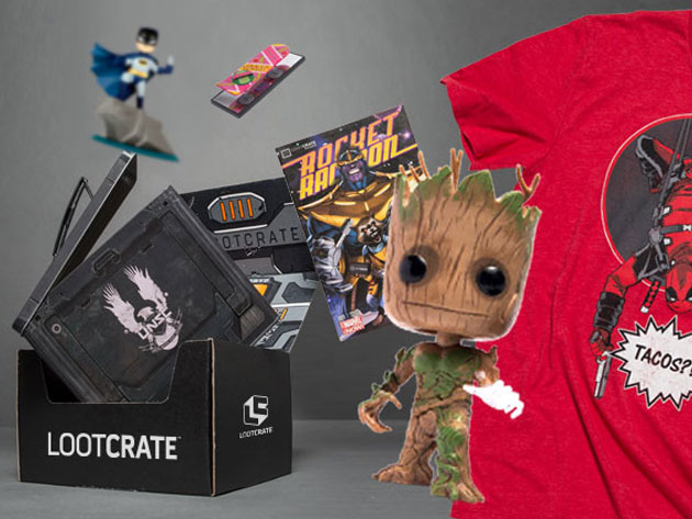 Loot Crate Exclusive Mystery Bundle: 6-7 Items