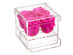 Rose Box™ 4-Rose Jewelry Box (Neon Pink)