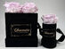 Chounette Preserved Roses Combo Set (Lavender Roses/Black Boxes)