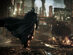 Batman: Arkham Knight (XBOX Live Key)