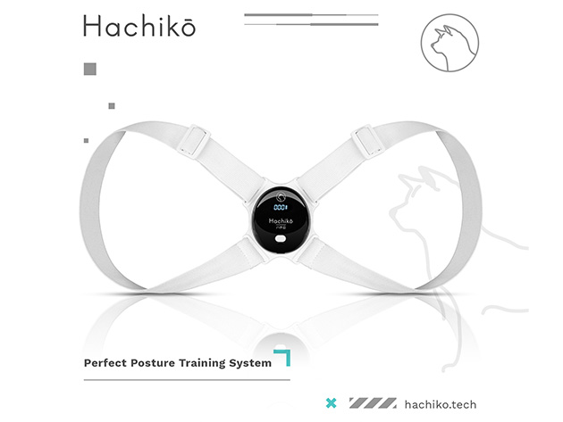 Hachiko Perfect Posture Training System