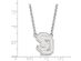 10k White Gold South Dakota Large Pendant Necklace