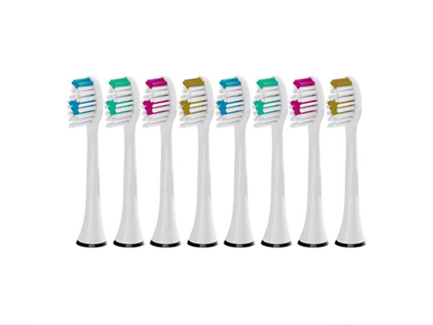 Sonic EDGE Rechargeable Toothbrush + 8 Brush Heads (White)