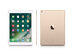Apple iPad Air 2 9.7" 64 GB WiFi Gold (Certified Refurbished)