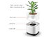 Micro-Ecological Desktop Air Purifier with Plant Pot