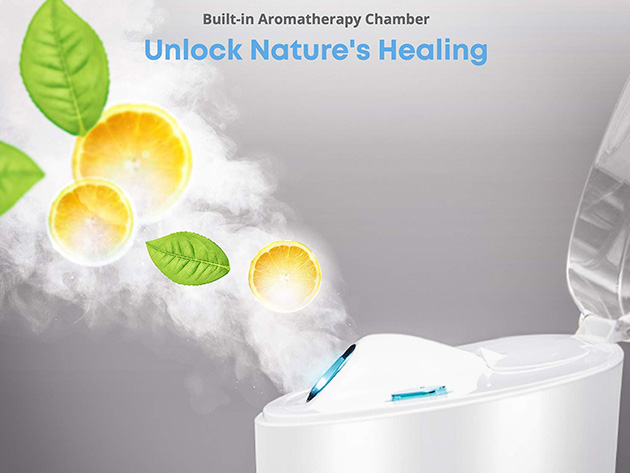 NanoSteamer PRO 4-in-1 Nano Ionic Facial Steamer