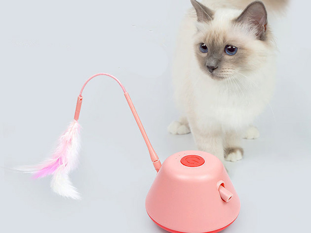 led cat toy