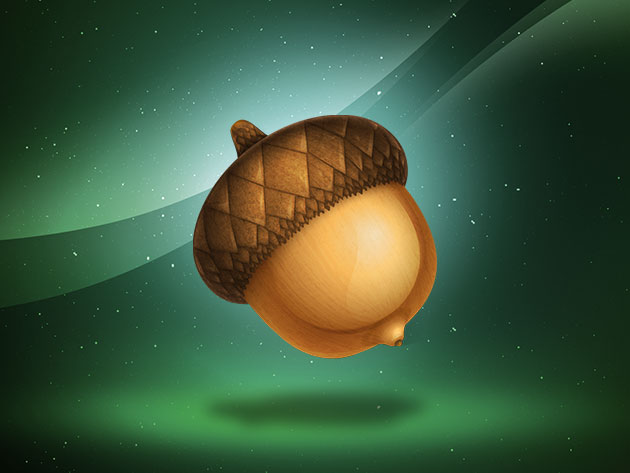 Acorn 6