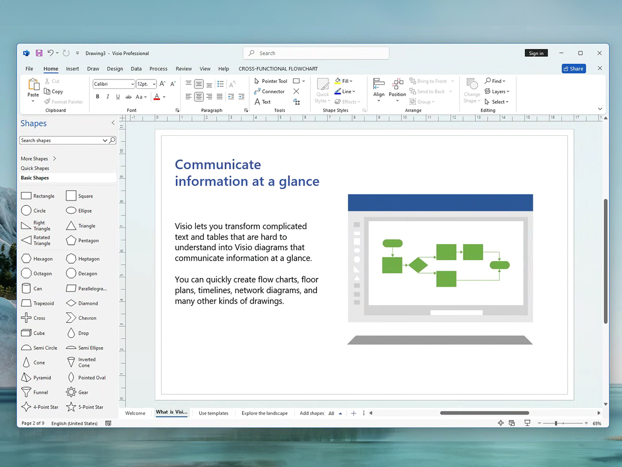 Microsoft Visio Professional 2024: Lifetime License for Windows