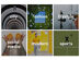 Scopio Authentic Stock Photography: Extended Commercial Lifetime Subscription