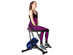 Rodeo Core Exercise Machine (Blue)