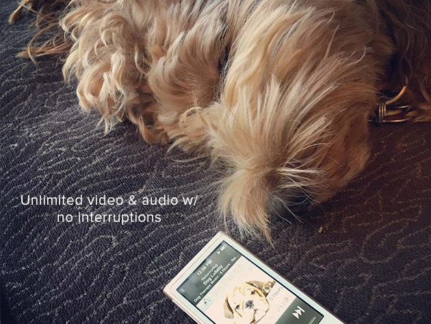 Relax My Dog Video Streaming: 2-Yr Subscription