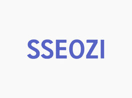 Sseozi：您的专业SEO和Web分析仪工具具有终身访问权限“class=