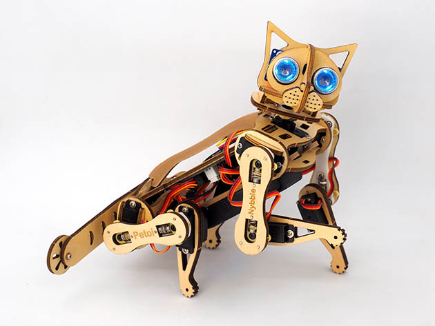 Petoi Nybble V2: World's Cutest Open-Source Bionic Robotic Cat