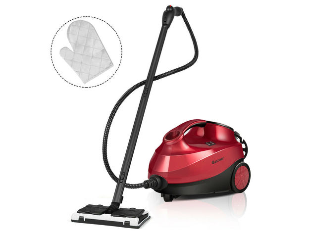 heavy duty steam cleaner