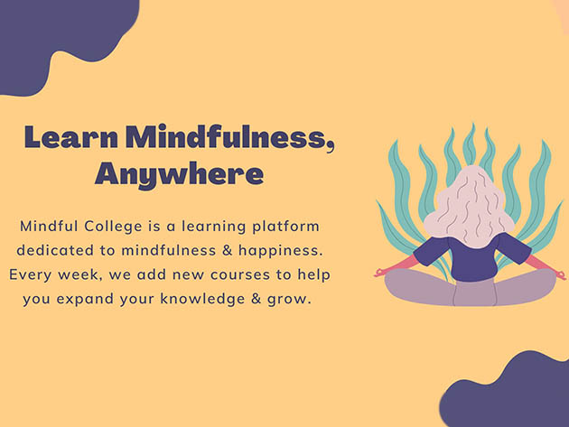 Mindful College: Learn to Master Mindfulness