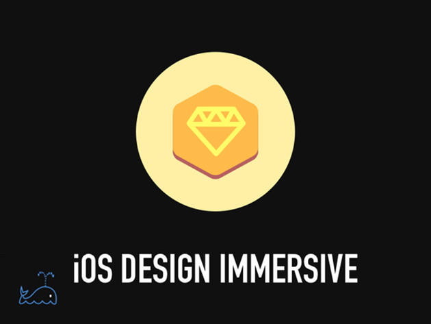 The Bitfountain iOS Design Immersive