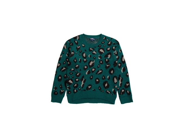 Freshman Girl's Bold Leopard Spots Pattern Crewneck Sweater with Classic Rib Trim, Cuffs and Hem, Large, Green