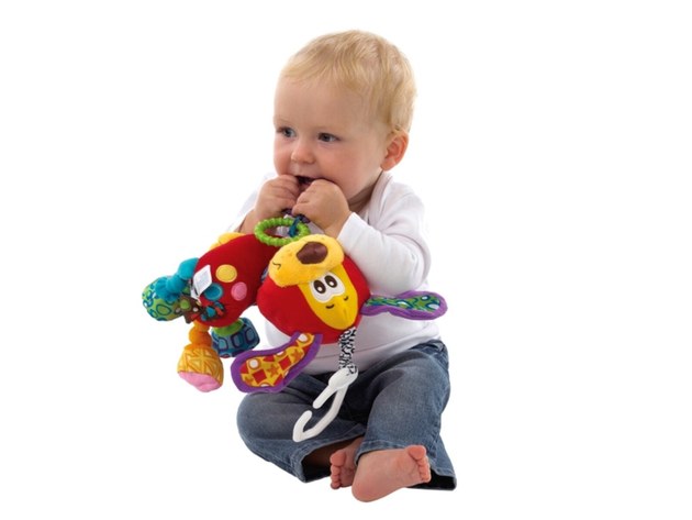 Playgro teether best sale