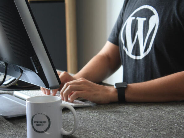 WordPress Plugin Development - a project based approach - Product Image